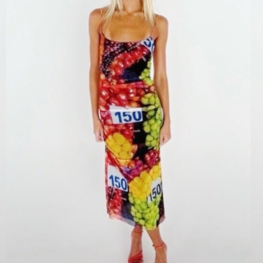 Zara Fruit Mesh Maxi Dress Size Small